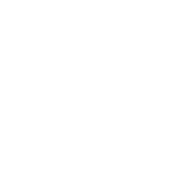 Logo ZSŁ