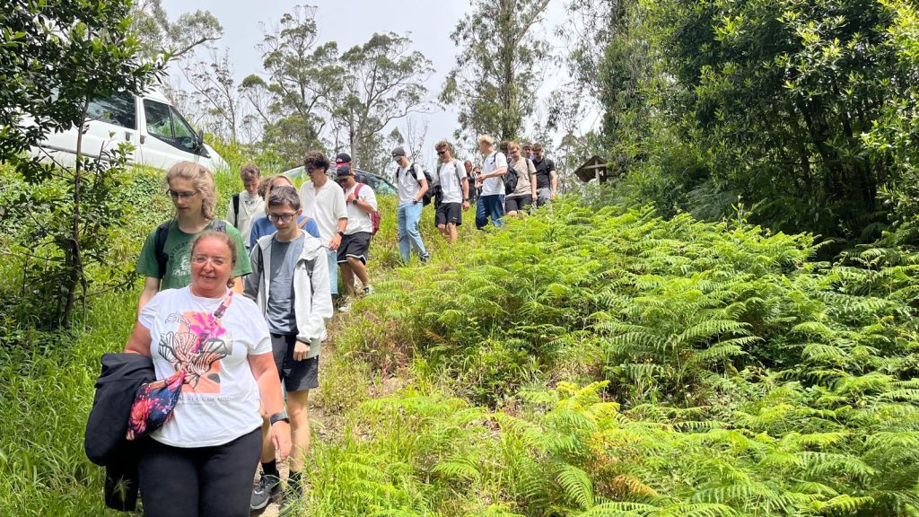 Serra da Boa Viagem i piknik — zdjęcie 1.