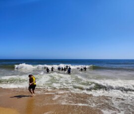 Grupa uczestników wchodzi do oceanu podczas zajęć surfingowych.