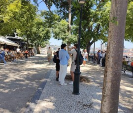 Panorama Lizbony widziana ponad zielonym skwerem.
