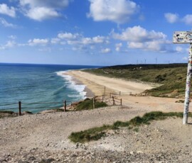 Skaliste wybrzeże Atlantyku w okolicach Nazaré.